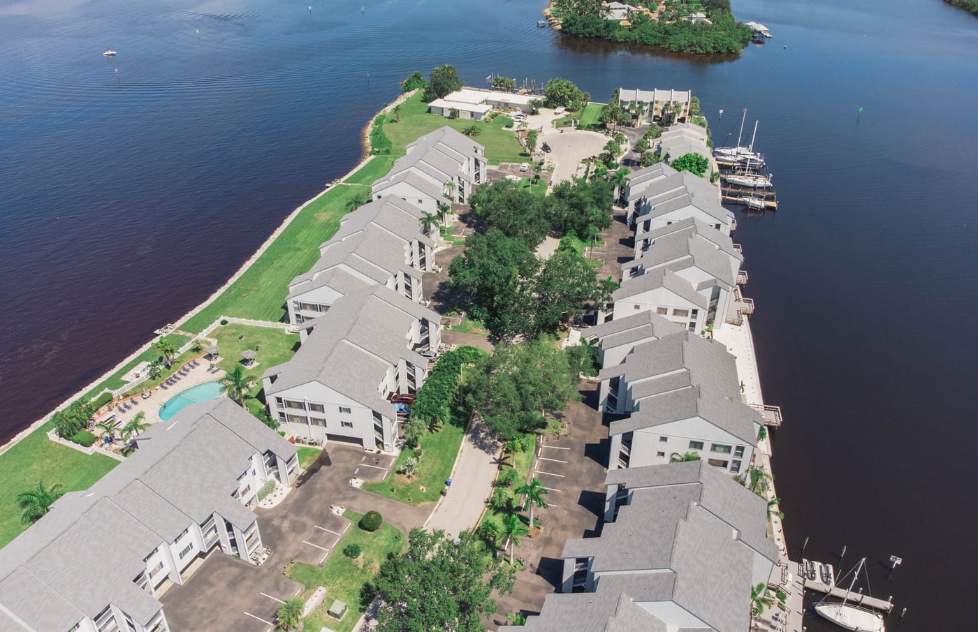 Taps Pest Services — rodent control & exclusion in Tampa, FL