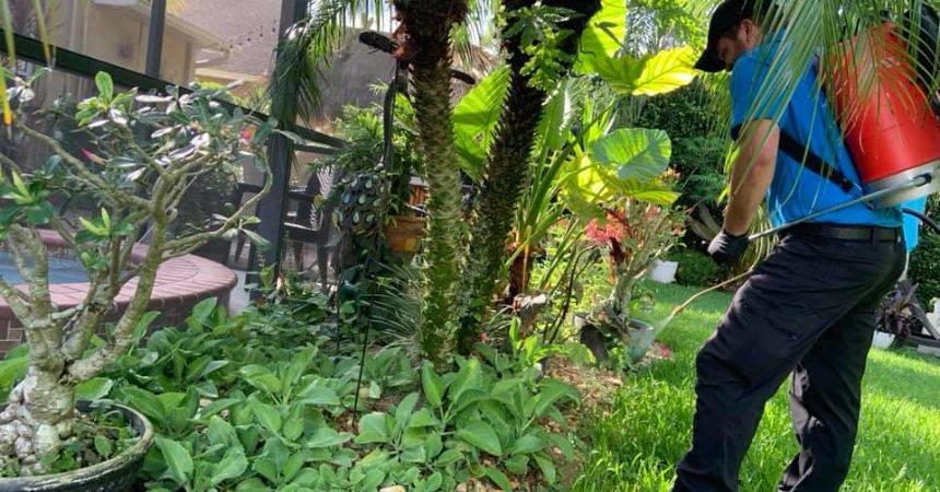 Pest control near me technician applying eco-friendly treatment in a lush residential backyard to prevent mosquitoes and other pests .