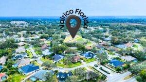 Aerial view of a residential neighborhood in Valrico, Florida, ideal for pest control services