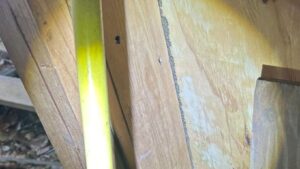 Mosquito Control In Florida | Keep Mosquitoes Away From Your Yard This Summer 5 The Hidden Dangers of Termites and Signs to Watch For
