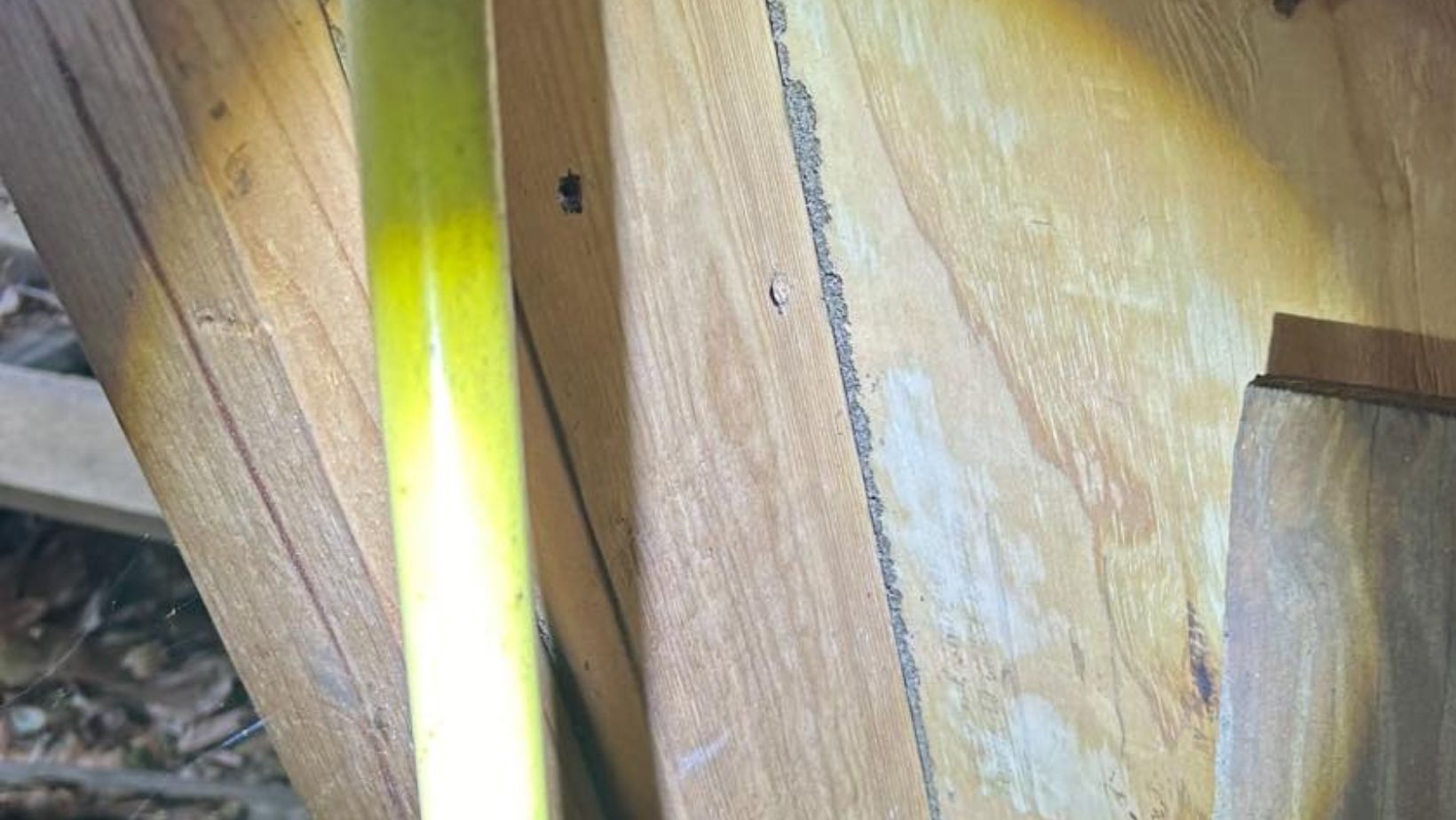 Taps Pest Control Blog – Expert Tips, Tricks &Amp; Diy Pest Solutions 2 The Hidden Dangers of Termites and Signs to Watch For
