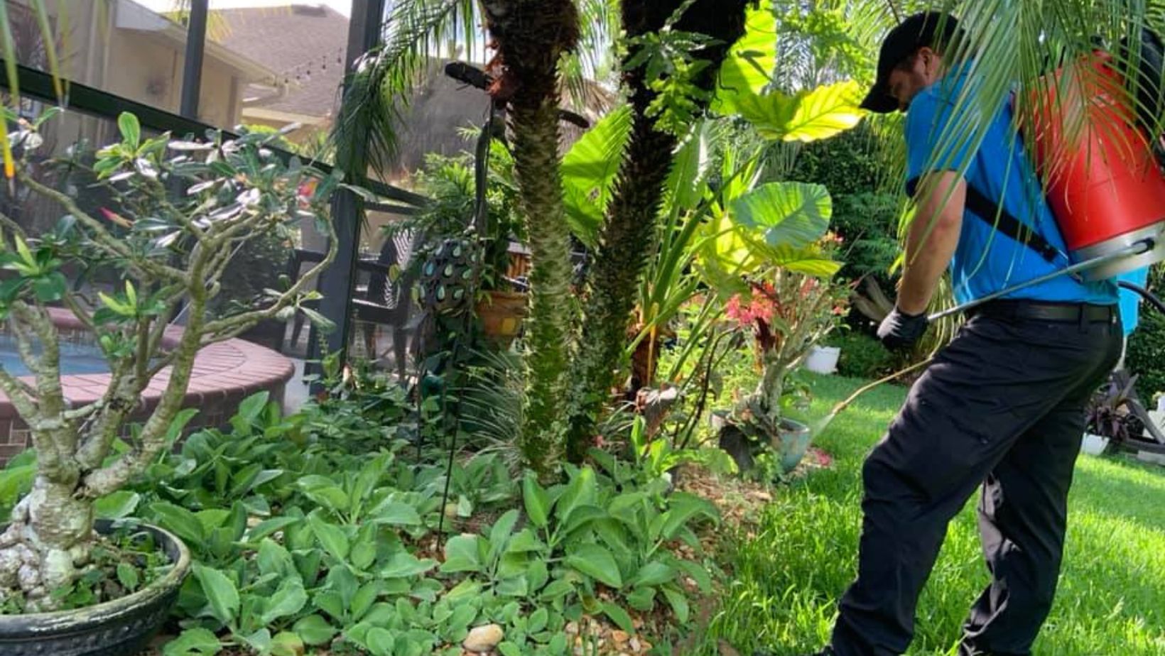 Pest Control in Bloomingdale florida Pest control technician in Bloomingdale, Florida applying targeted outdoor treatment with a backpack sprayer near palm trees and a screened pool enclosure