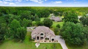 Pest Control in Wesley Chapel