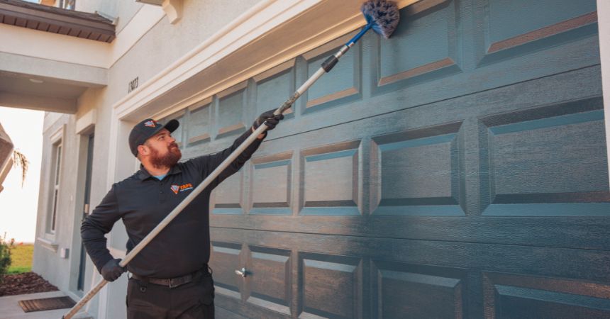 Pest Control in Wesley Chapel