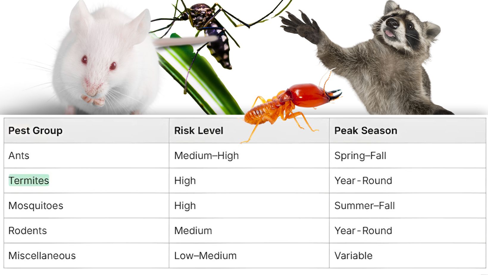 Pest Control in Bloomingdale florida Bloomingdale Florida pest chart — ants, termites, mosquitoes, rodents with risk levels and peak seasons