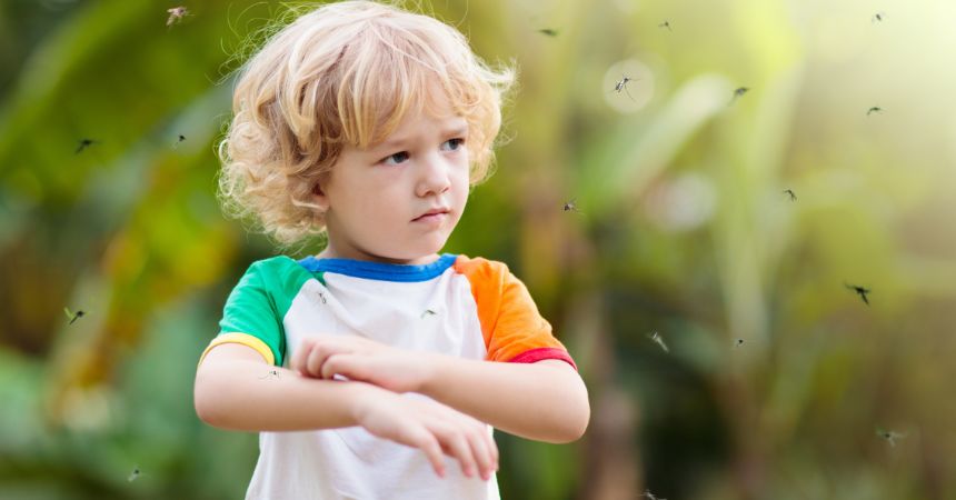 Pest Control in Lutz Florida