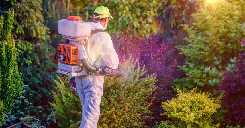 pest Control in Dover Professional pest control technician spraying outdoor plants in Dover, Florida, to prevent mosquitoes, termites, and other common pests.