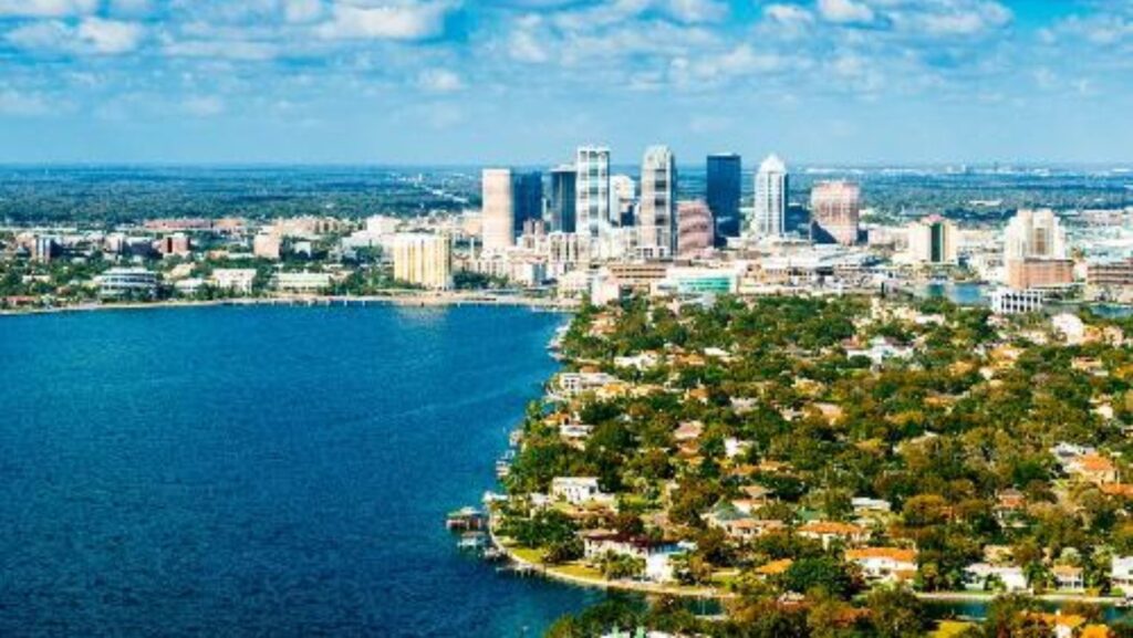Pest Control In Riverview Florida