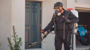 pest control services cost