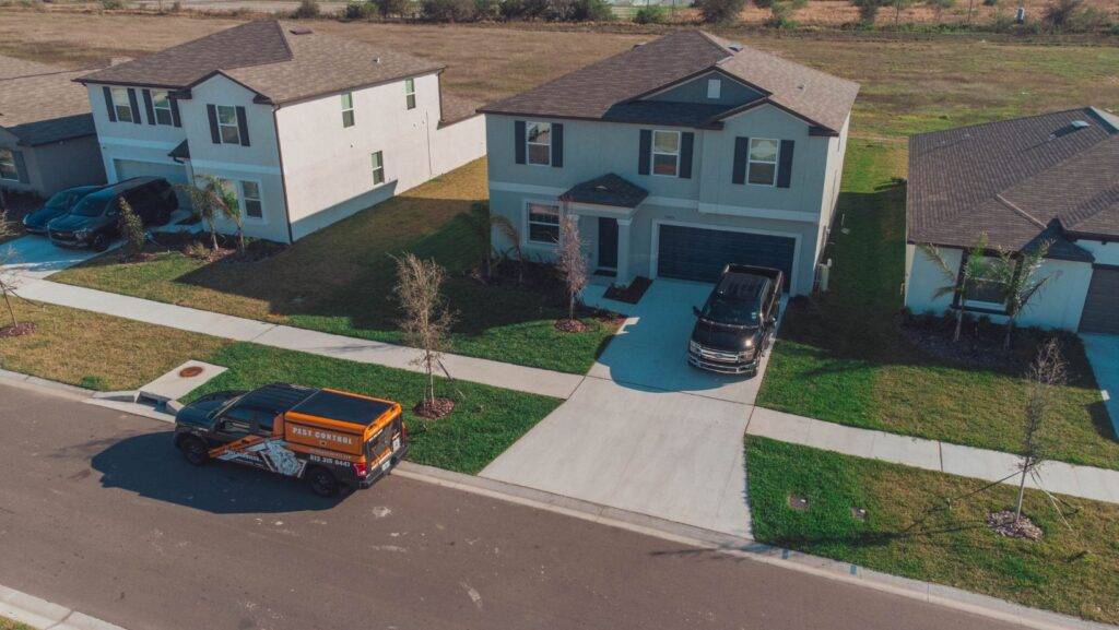 termite identification in Florida