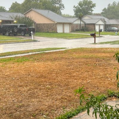 Riverview drought heat stress lawn
