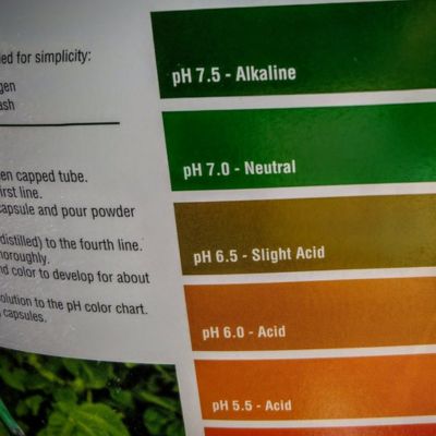 Riverview soil ph lawn problems